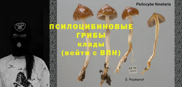 шишки Армянск