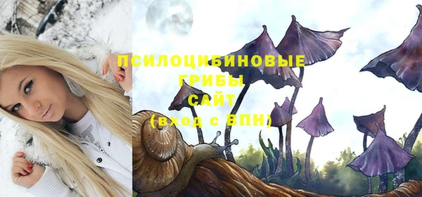 ALPHA PVP Арсеньев