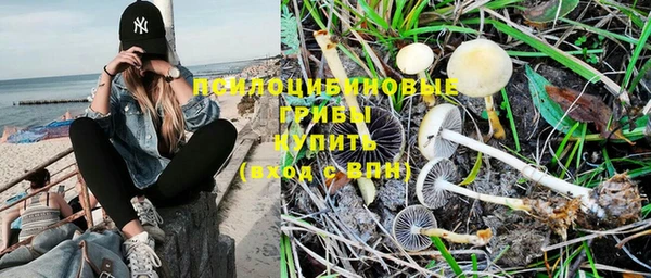a pvp Алексин