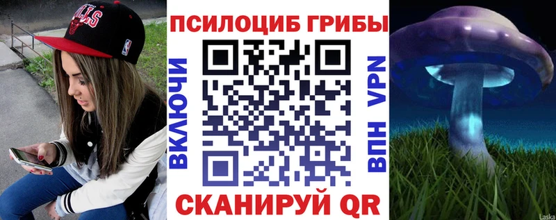 Псилоцибиновые грибы GOLDEN TEACHER  Аркадак 